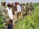 BSF ਇੰਟੈਲੀਜੈਂਸ-ਪੰਜਾਬ ਪੁਲਿਸ ਨੇ ਕੀਤਾ ਵੱਡਾ ਖੁਲਾਸਾ, ਪੰਜਾਬ ‘ਚ ਹੋ ਰਹੀ ਅਫੀਮ ਦੀ ਖੇਤੀ, ਦੋਸ਼ੀ ਗ੍ਰਿਫਤਾਰ BSF ਇੰਟੈਲੀਜੈਂਸ-ਪੰਜਾਬ ਪੁਲਿਸ ਨੇ ਕੀਤਾ ਵੱਡਾ ਖੁਲਾਸਾ, ਪੰਜਾਬ 'ਚ ਹੋ ਰਹੀ ਅਫੀਮ ਦੀ ਖੇਤੀ, ਦੋਸ਼ੀ ਗ੍ਰਿਫਤਾਰ