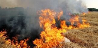 ਪੰਜਾਬ ਦੇ ਕਿਸਾਨਾਂ ਨੇ ਵਾਹਣੀ ਪਾਇਆ ਨਾਸਾ ! ਸੈਟੇਲਾਈਟ ਲੰਘੇ ਤੋਂ ਸਾੜ ਰਹੇ ਨੇ ਪਰਾਲੀ ? ਕੋਰੀਅਨ ਸੈਟੇਲਾਈਟ ਪੰਜਾਬ ਦੇ ਕਿਸਾਨਾਂ ਨੇ ਵਾਹਣੀ ਪਾਇਆ ਨਾਸਾ ! ਸੈਟੇਲਾਈਟ ਲੰਘੇ ਤੋਂ ਸਾੜ ਰਹੇ ਨੇ ਪਰਾਲੀ ? ਕੋਰੀਅਨ ਸੈਟੇਲਾਈਟ