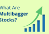 Multibagger Stock – 5 ਸਾਲਾਂ ‘ਚ ਇਸ ਸਟਾਕ ਨੇ ਦਿੱਤਾ 1113 ਫ਼ੀਸਦੀ ਰਿਟਰਨ, ਹੁਣ ਮੁੜ ਹੋਇਆ ਸਸਤਾ Multibagger Stock - 5 ਸਾਲਾਂ 'ਚ ਇਸ ਸਟਾਕ ਨੇ ਦਿੱਤਾ 1113 ਫ਼ੀਸਦੀ ਰਿਟਰਨ, ਹੁਣ ਮੁੜ ਹੋਇਆ ਸਸਤਾ
