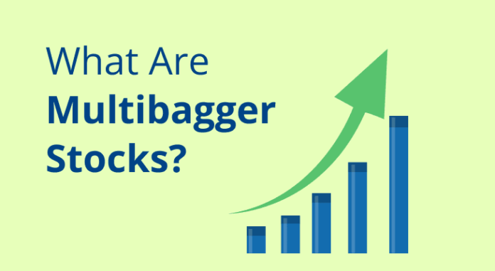 Multibagger Stock - 5 ਸਾਲਾਂ 'ਚ ਇਸ ਸਟਾਕ ਨੇ ਦਿੱਤਾ 1113 ਫ਼ੀਸਦੀ ਰਿਟਰਨ, ਹੁਣ ਮੁੜ ਹੋਇਆ ਸਸਤਾ
