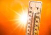 ਦਿੱਲੀ ’ਚ ਲੂ ਦਾ ਹਮਲਾ; 41°C ਤਾਪਮਾਨ, ਸੀਜ਼ਨ ਦਾ ਸਭ ਤੋਂ ਗਰਮ ਦਿਨ ਦਰਜ ਦਿੱਲੀ ’ਚ ਲੂ ਦਾ ਹਮਲਾ; 41°C ਤਾਪਮਾਨ, ਸੀਜ਼ਨ ਦਾ ਸਭ ਤੋਂ ਗਰਮ ਦਿਨ ਦਰਜ