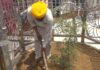 ਸ੍ਰੀ ਅਕਾਲ ਤਖਤ ਸਾਹਿਬ ਦੇ ਬਾਹਰ ਇਮਲੀ ਦਾ ਨਵਾਂ ਬੂਟਾ ਲਾਇਆ, ਜਾਣੋ ਸਿੱਖ ਇਤਿਹਾਸ ‘ਚ ਖਾਸੀਅਤ ਸ੍ਰੀ ਅਕਾਲ ਤਖਤ ਸਾਹਿਬ ਦੇ ਬਾਹਰ ਇਮਲੀ ਦਾ ਨਵਾਂ ਬੂਟਾ ਲਾਇਆ, ਜਾਣੋ ਸਿੱਖ ਇਤਿਹਾਸ 'ਚ ਖਾਸੀਅਤ