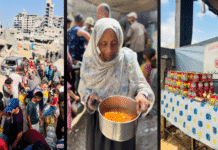 Famine in Gaza: 'This is not just a humanitarian crisis, it is a daily tragedy'
