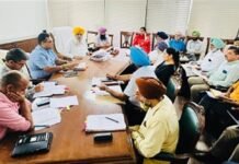 Punjab's 16.27 per cent maize area is growing, 1 per cent of the area has been reduced: Khukian