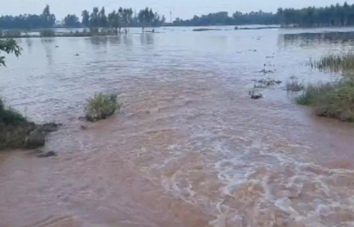 Alert issued in Bhunarheri and Devigarh areas in view of rising level of Tangri river
