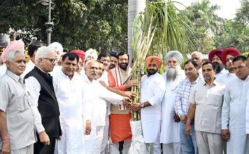 ਕਿਸਾਨਾਂ ਨੇ ਗੰਨੇ ਦੇ ਵਧੇ ਹੋਏ ਐਮਐਸਪੀ ਦੇ ਦੀਵਾਲੀ ਤੋਹਫ਼ੇ ਲਈ ਮੁੱਖ ਮੰਤਰੀ ਦਾ ਧੰਨਵਾਦ ਕੀਤਾ Farmers thank Chief Minister for Diwali gift of increased sugarcane MSP