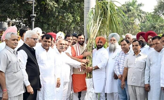 Farmers thank Chief Minister for Diwali gift of increased sugarcane MSP