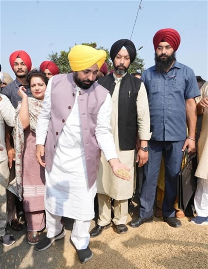 ਪੰਜਾਬ ਵਿੱਚ ਲਗਭਗ 61.01 ਲੱਖ ਮੀਟਰਿਕ ਟਨ ਦੀ ਖਰੀਦ, ਕਿਸਾਨਾਂ ਨੂੰ 13073.07 ਕਰੋੜ ਰੁਪਏ ਦੀ ਅਦਾਇਗੀ ਕੀਤੀ ਗਈ: ਮੁੱਖ ਮੰਤਰੀ