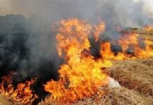 ਦੋ ਦਿਨਾਂ ਵਿੱਚ ਖੇਤਾਂ ਵਿੱਚ ਅੱਗ ਦੀਆਂ 28 ਘਟਨਾਵਾਂ: ਪਰਾਲੀ ਸਾੜਨ ਦੇ ਮਾਮਲਿਆਂ ਵਿੱਚ ਵਾਧੇ ਨੂੰ ਲੈ ਕੇ CAQM ਨੇ ਫਤਿਹਾਬਾਦ ਡੀਸੀ ਦੀ ਖਿਚਾਈ ਦੋ ਦਿਨਾਂ ਵਿੱਚ ਖੇਤਾਂ ਵਿੱਚ ਅੱਗ ਦੀਆਂ 28 ਘਟਨਾਵਾਂ: ਪਰਾਲੀ ਸਾੜਨ ਦੇ ਮਾਮਲਿਆਂ ਵਿੱਚ ਵਾਧੇ ਨੂੰ ਲੈ ਕੇ CAQM ਨੇ ਫਤਿਹਾਬਾਦ ਡੀਸੀ ਦੀ ਖਿਚਾਈ