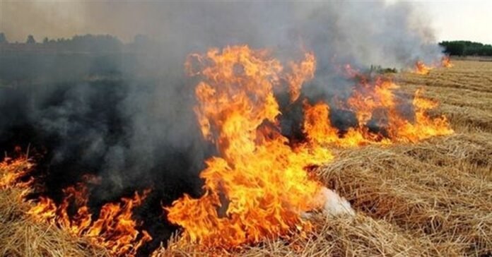 ਦੋ ਦਿਨਾਂ ਵਿੱਚ ਖੇਤਾਂ ਵਿੱਚ ਅੱਗ ਦੀਆਂ 28 ਘਟਨਾਵਾਂ: ਪਰਾਲੀ ਸਾੜਨ ਦੇ ਮਾਮਲਿਆਂ ਵਿੱਚ ਵਾਧੇ ਨੂੰ ਲੈ ਕੇ CAQM ਨੇ ਫਤਿਹਾਬਾਦ ਡੀਸੀ ਦੀ ਖਿਚਾਈ ਦੋ ਦਿਨਾਂ ਵਿੱਚ ਖੇਤਾਂ ਵਿੱਚ ਅੱਗ ਦੀਆਂ 28 ਘਟਨਾਵਾਂ: ਪਰਾਲੀ ਸਾੜਨ ਦੇ ਮਾਮਲਿਆਂ ਵਿੱਚ ਵਾਧੇ ਨੂੰ ਲੈ ਕੇ CAQM ਨੇ ਫਤਿਹਾਬਾਦ ਡੀਸੀ ਦੀ ਖਿਚਾਈ