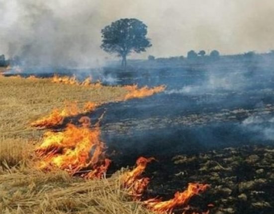 ਲੁਧਿਆਣਾ ’ਚ ਪਰਾਲੀ ਸਾੜਨ ਕਾਰਨ ਹਵਾ ਪ੍ਰਦੂਸ਼ਣ ’ਚ ਵਾਧਾ, ਸਿਹਤ ਵਿਭਾਗ ਨੇ ਜਾਰੀ ਕੀਤੀ ਲੋਕਾਂ ਲਈ ਚਿਤਾਵਨੀ Air pollution increases due to stubble burning in Ludhiana, health department issues warning to people