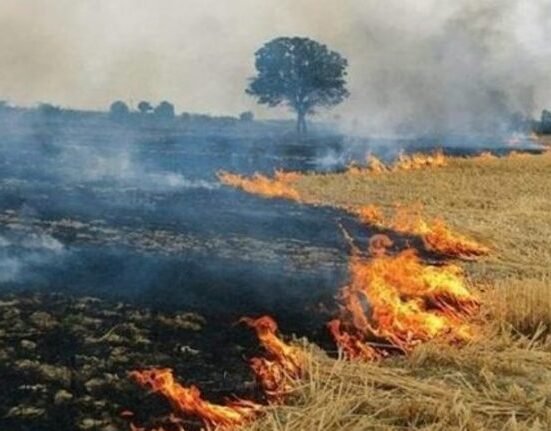 ਪੰਜਾਬ ਦੇ ਕਿਸਾਨ ਪਰਾਲੀ ਸਾੜਨ ਦੇ ਜੁਰਮਾਨੇ, ਬਕਾਇਆ ਅਤੇ ਬੋਨਸ ਦੀ ਮੰਗ ਦਾ ਵਿਰੋਧ ਕਰਦੇ ਹਨ Punjab farmers protest against stubble burning fines, dues and demand for bonuses