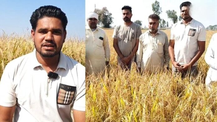 ਮਾਨਸਾ’ਚ ਸੈਟੇਲਾਈਟ ਸਿਸਟਮ ਦਾ ਨਵਾਂ ਕਾਰਨਾਮਾ; ਬਿਨਾ ਅੱਗ ਲਾਏ ਹੀ ਕਿਸਾਨ ਨੂੰ ਭੇਜਿਆ ਪਰਾਲੀ ਸਾੜਨ ਦਾ ਨੋਟਿਸ ਮਾਨਸਾ’ਚ ਸੈਟੇਲਾਈਟ ਸਿਸਟਮ ਦਾ ਨਵਾਂ ਕਾਰਨਾਮਾ; ਬਿਨਾ ਅੱਗ ਲਾਏ ਹੀ ਕਿਸਾਨ ਨੂੰ ਭੇਜਿਆ ਪਰਾਲੀ ਸਾੜਨ ਦਾ ਨੋਟਿਸ