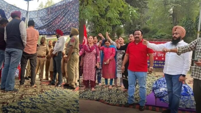 AAP ਉਮੀਦਵਾਰ ਹਰਮੀਤ ਸਿੰਘ ਸੰਧੂ ਦੇ ਘਰ ਬਾਹਰ ਸ਼ਾਂਤਮਈ ਧਰਨਾ ਦੇ ਰਹੇ ਕੰਪਿਊਟਰ ਅਧਿਆਪਕਾਂ ਦਾ ਪੁਲਿਸ ਨੇ ਖਦੇੜਿਆ ਧਰਨਾ Police disperse computer teachers protesting peacefully outside AAP candidate Harmeet Singh Sandhu's house