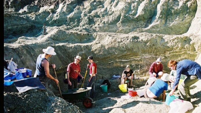 ਆਸਟ੍ਰੇਲੀਆ ਵਿਚ ਮਿਲੇ ਪ੍ਰਾਚੀਨ ਰੁੱਖਾਂ 'ਤੇ ਚੜ੍ਹਨ ਵਾਲੇ 'ਡ੍ਰੌਪ ਕ੍ਰੋਕਸ' ਦੇ ਸਬੂਤ ਆਸਟ੍ਰੇਲੀਆ ਵਿਚ ਮਿਲੇ ਪ੍ਰਾਚੀਨ ਰੁੱਖਾਂ 'ਤੇ ਚੜ੍ਹਨ ਵਾਲੇ 'ਡ੍ਰੌਪ ਕ੍ਰੋਕਸ' ਦੇ ਸਬੂਤ