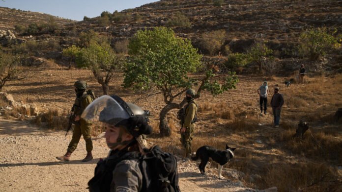 ਦਰਜਨਾਂ ਇਜ਼ਰਾਈਲੀ ਵਸਨੀਕਾਂ ਨੇ ਪੱਛਮੀ ਕੰਢੇ ਦੇ ਫਲਸਤੀਨੀ ਪਿੰਡਾਂ 'ਤੇ ਹਮਲਾ ਕੀਤਾ ਦਰਜਨਾਂ ਇਜ਼ਰਾਈਲੀ ਵਸਨੀਕਾਂ ਨੇ ਪੱਛਮੀ ਕੰਢੇ ਦੇ ਫਲਸਤੀਨੀ ਪਿੰਡਾਂ 'ਤੇ ਹਮਲਾ ਕੀਤਾ