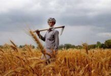 ਹਰਿਆਣਾ ਵਿਧਾਨ ਸਭਾ ਸਰਦ ਰੁੱਤ ਸੈਸ਼ਨ: ਮੁੱਖ ਮੰਤਰੀ ਨਾਇਬ ਸਿੰਘ ਸੈਣੀ ਨੇ ਕਿਹਾ ਕਿ 25 ਲੱਖ ਤੋਂ ਵੱਧ ਕਿਸਾਨਾਂ ਸਿਰ 60,816 ਕਰੋੜ ਰੁਪਏ ਦਾ ਕਰਜ਼ਾ ਬਕਾਇਆ ਹੈ ਹਰਿਆਣਾ ਵਿਧਾਨ ਸਭਾ ਸਰਦ ਰੁੱਤ ਸੈਸ਼ਨ: ਮੁੱਖ ਮੰਤਰੀ ਨਾਇਬ ਸਿੰਘ ਸੈਣੀ ਨੇ ਕਿਹਾ ਕਿ 25 ਲੱਖ ਤੋਂ ਵੱਧ ਕਿਸਾਨਾਂ ਸਿਰ 60,816 ਕਰੋੜ ਰੁਪਏ ਦਾ ਕਰਜ਼ਾ ਬਕਾਇਆ ਹੈ