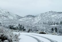 ਮਨਾਲੀ ਜਾਣ ਵਾਲੇ ਸਾਵਧਾਨ ! ਭਾਰੀ ਬਰਫ਼ਵਾਰੀ ਕਾਰਨ ਰਸਤਿਆਂ ‘ਤੇ ਕਈ ਕਿਲੋਮੀਟਰ ਲੱਗਿਆ ਜਾਮ, ਸੈਂਕੜੇ ਸੈਲਾਨੀ ਫਸੇ Manali travelers beware! Heavy snowfall causes traffic jam on several kilometers of roads, hundreds of tourists stranded