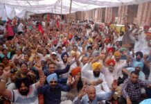 ਪੰਜਾਬ ਦੇ ਸਰਕਾਰੀ ਮੁਲਾਜ਼ਮ ਡੀਏ, ਡੀਆਰ ਬਾਰੇ ਸੁਪਰੀਮ ਕੋਰਟ ਦੇ ਫੈਸਲੇ ਦਾ ਇੰਤਜ਼ਾਰ ਕਰ ਰਹੇ ਹਨ, ਅੰਦੋਲਨ ਤੇਜ਼ ਪੰਜਾਬ ਦੇ ਸਰਕਾਰੀ ਮੁਲਾਜ਼ਮ ਡੀਏ, ਡੀਆਰ ਬਾਰੇ ਸੁਪਰੀਮ ਕੋਰਟ ਦੇ ਫੈਸਲੇ ਦਾ ਇੰਤਜ਼ਾਰ ਕਰ ਰਹੇ ਹਨ, ਅੰਦੋਲਨ ਤੇਜ਼